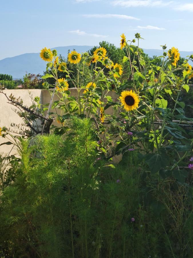 Petit Gite De Provence Mazan Exterior photo