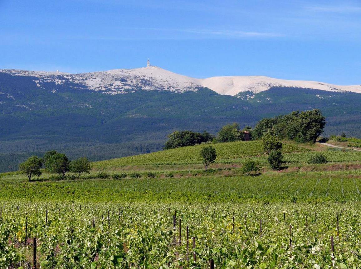 Petit Gite De Provence Mazan Exterior photo